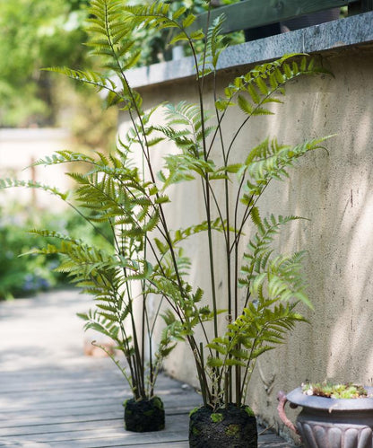 Two Artificial Eagle Fern Bulk Plants by RusticReach with tall green fronds in mossy pots on Tampa Home & Garden Store