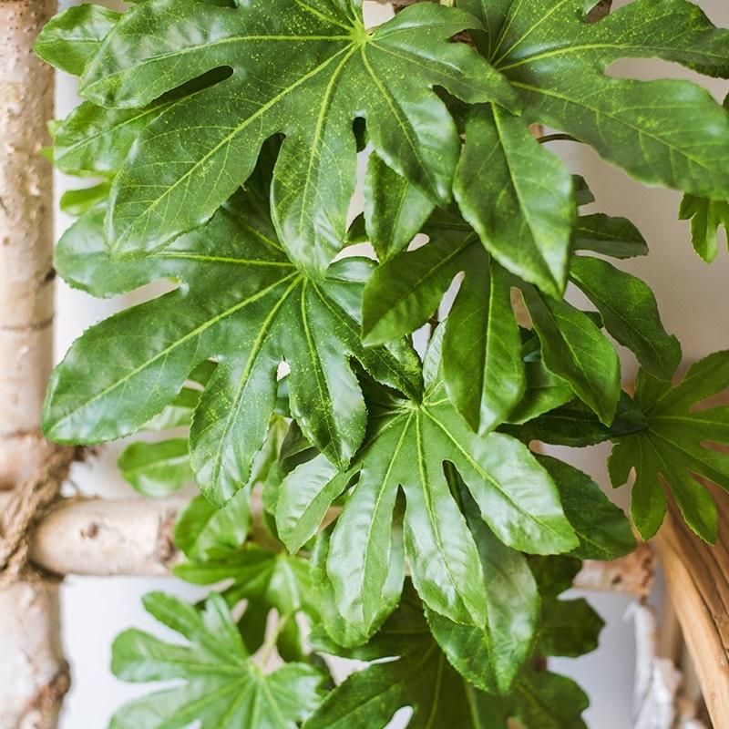 Artificial Plant Fatsia Leaf Vines 32in long with glossy green lobed leaves RusticReach on Tampa Home & Garden Store