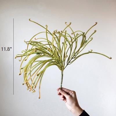 Artificial Green Sarracenia stem, 12" tall, RusticReach, held in hand with curved leaves on Tampa Home & Garden Store