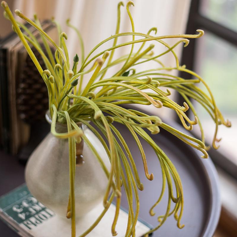 Artificial Sarracenia stem plant 12 inches tall with green curling leaves in a vase RusticReach on Tampa Home & Garden Store
