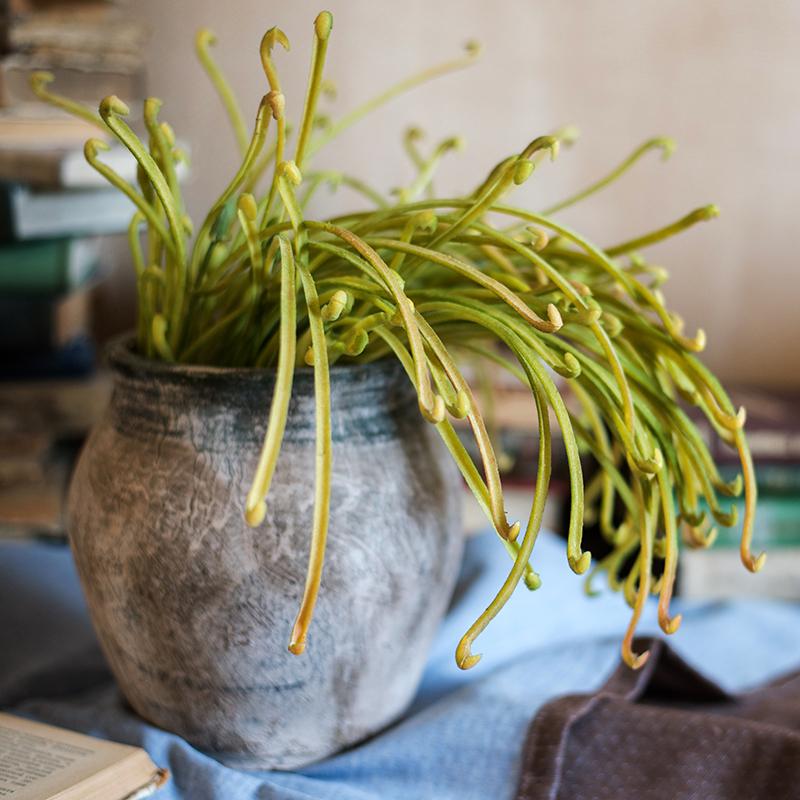 Artificial Sarracenia stem plant green 12 in tall in a textured gray pot on Tampa Home & Garden Store