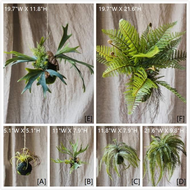 RusticReach artificial hanging fern decoration set of 6 green ferns in moss ball and pots on Tampa Home & Garden Store