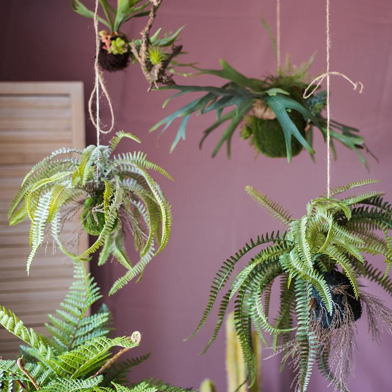 Artificial hanging fern plant decoration in green with cascading fronds on jute twine on Tampa Home & Garden Store