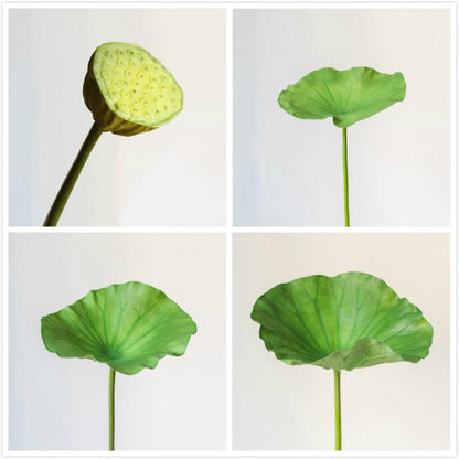 Artificial lotus seed pod and leaf stem set, various sizes, green, RusticReach on Tampa Home & Garden Store
