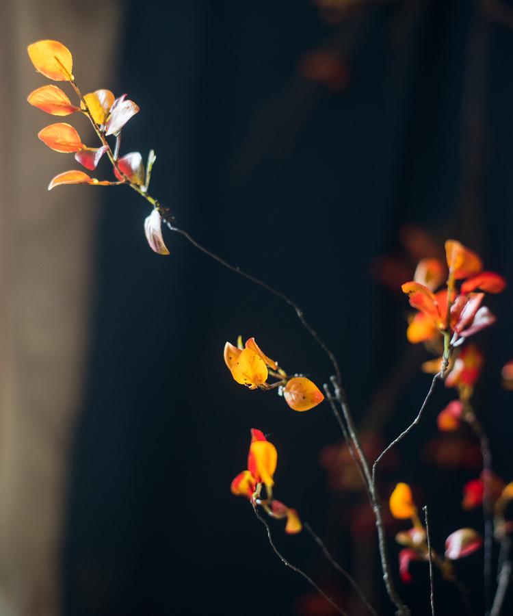Artificial Plant Red Vine Leaf Stem Faux RusticReach with orange leaves on slender stems on Tampa Home & Garden Store