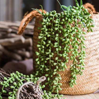 Artificial Tear Drop Hanging Plant 28in long, trailing green succulent, RusticReach on Tampa Home & Garden Store