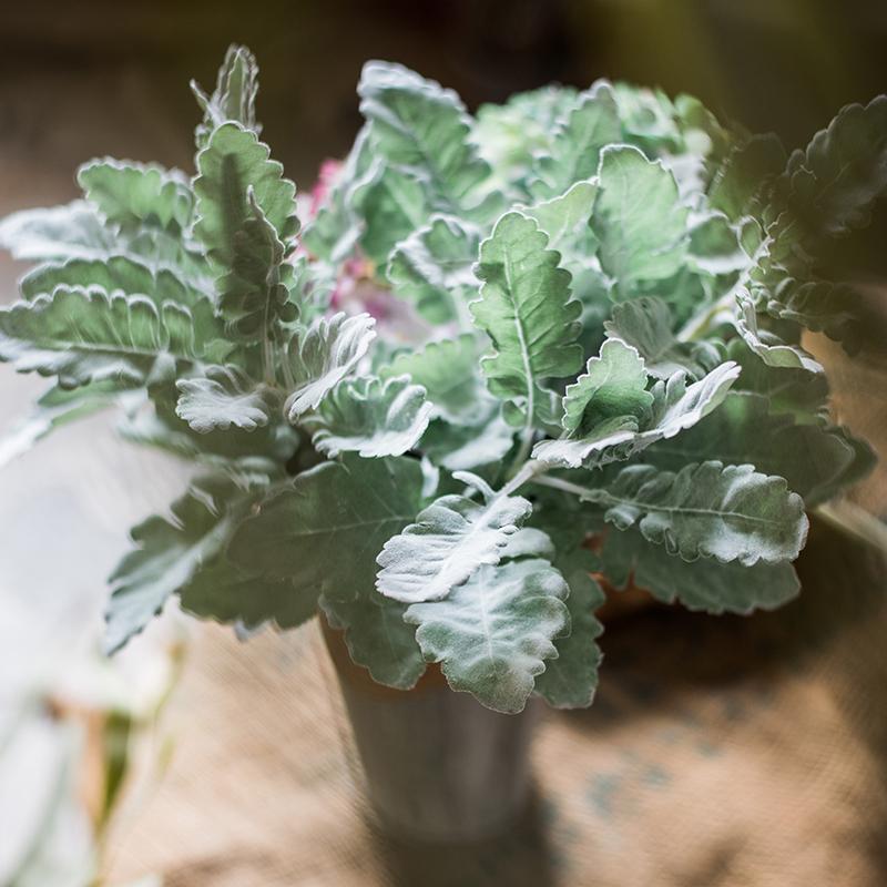 Artificial Faux Plant Wild Leaf Stem with dusty miller-style, silvery-green leaves in a pot on Tampa Home & Garden Store