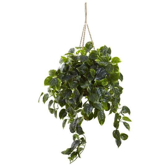 Pothos Hanging Basket UV Resistant (Indoor/Outdoor) - Tampa Home & Garden Store