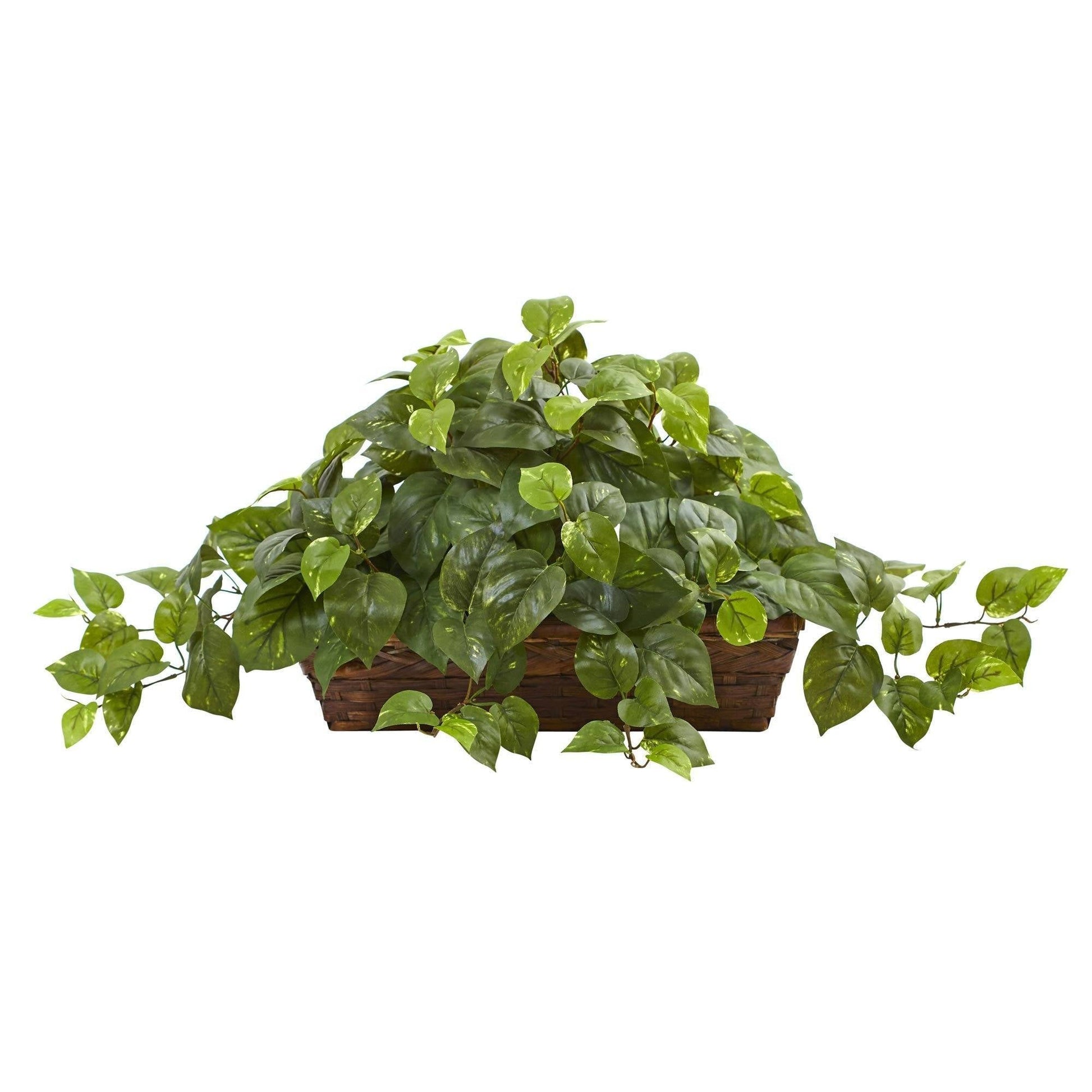 Pothos artificial plant in woven basket by Nearly Natural with trailing green leaves on Tampa Home & Garden Store