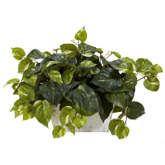 Pothos w/White Wash Planter Silk Plant - Tampa Home & Garden Store