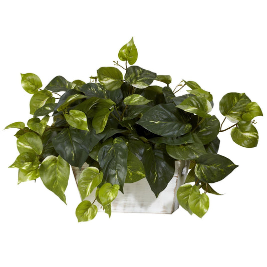 Pothos w/White Wash Planter Silk Plant - Tampa Home & Garden Store