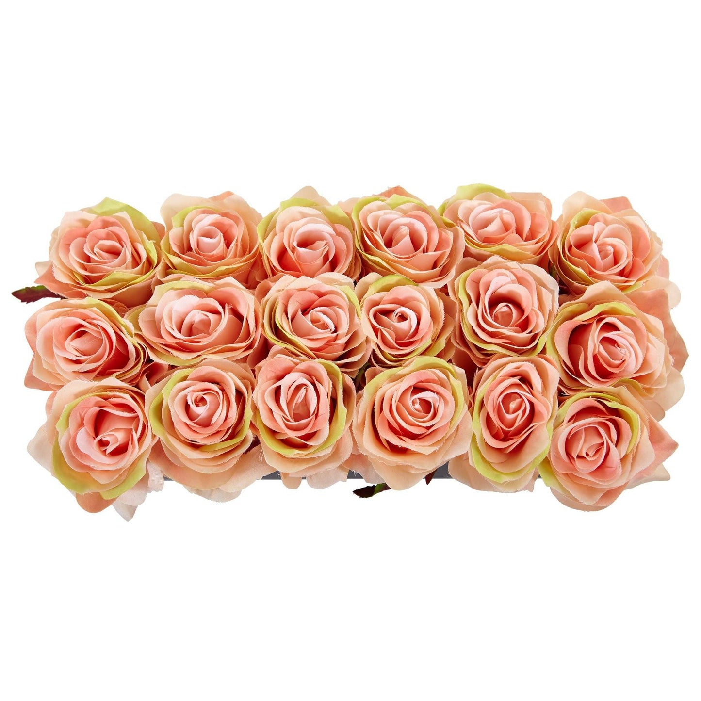 Rosas en jardinera rectangular