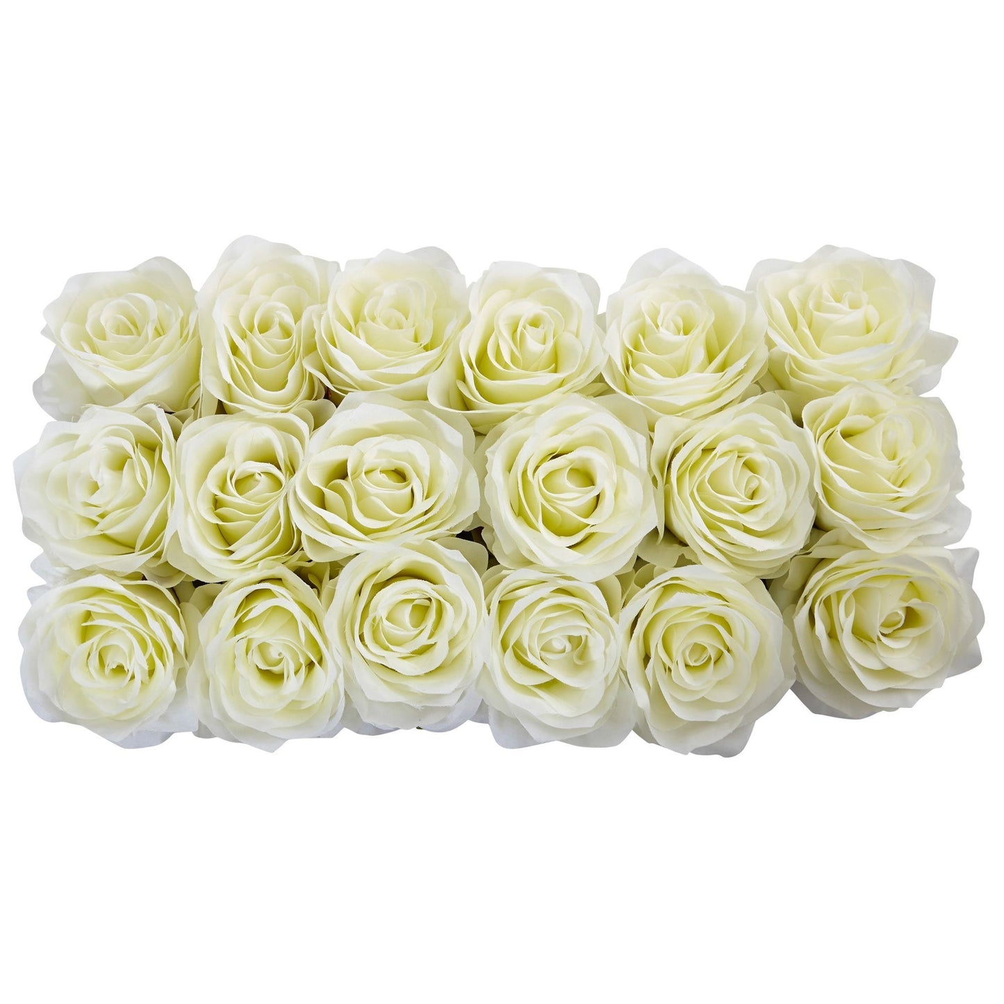 Rosas en jardinera rectangular