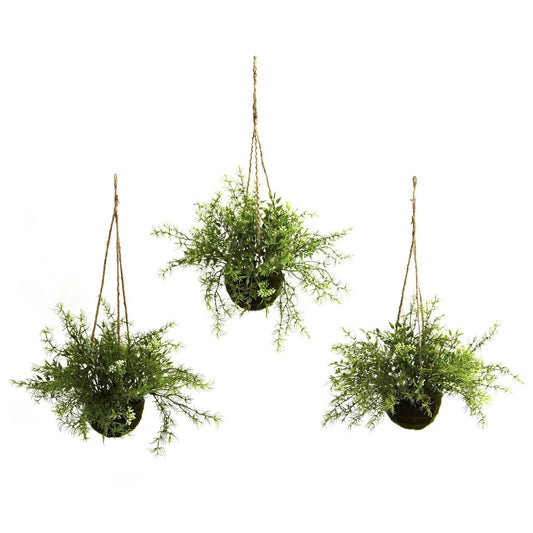 Ruscus Sedum Springeri Hanging Baskets, Nearly Natural artificial greenery set of 3 with hangers on Tampa Home & Garden Store