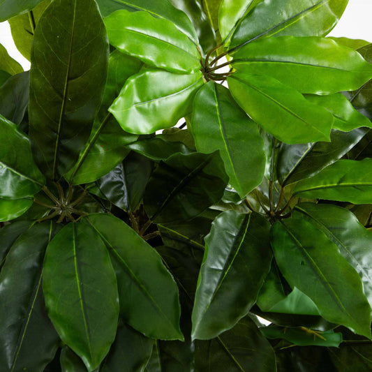 Schefflera Artificial Tree UV Resistant (Indoor/Outdoor) - Tampa Home & Garden Store