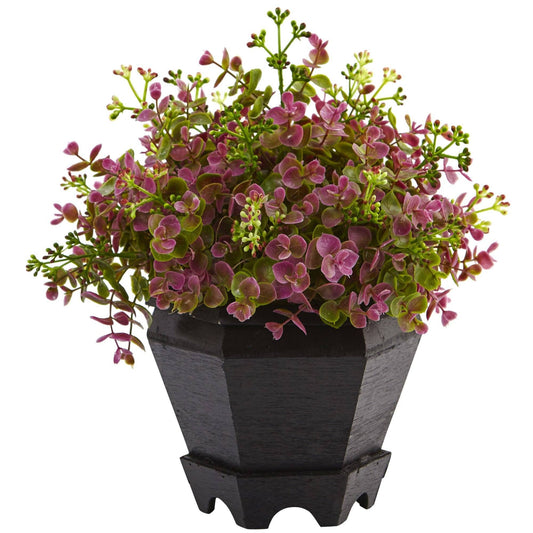Sedum and Eucalyptus Plant with Planter - Tampa Home & Garden Store
