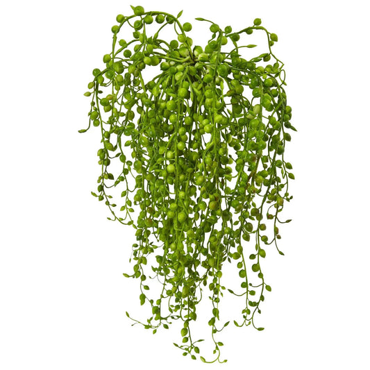 Senecio artificial succulent set of 3 with cascading green vines Nearly Natural on Tampa Home & Garden Store