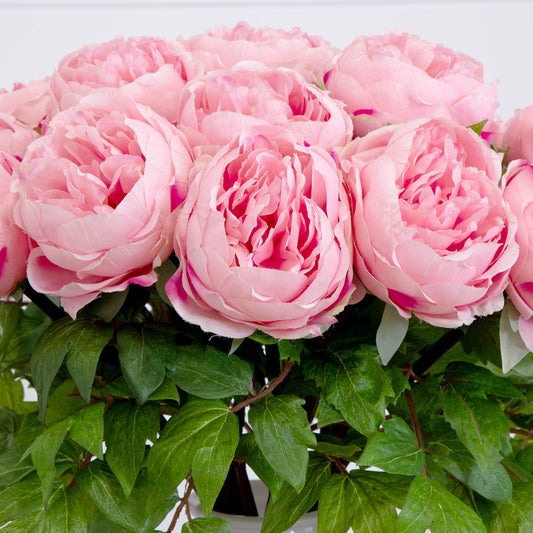 Signature Collection 20” Peony Artificial Arrangement in White  Glass Vase - Tampa Home & Garden Store