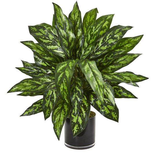Silver King Artificial Plant in Black Glass Vase - Tampa Home & Garden Store