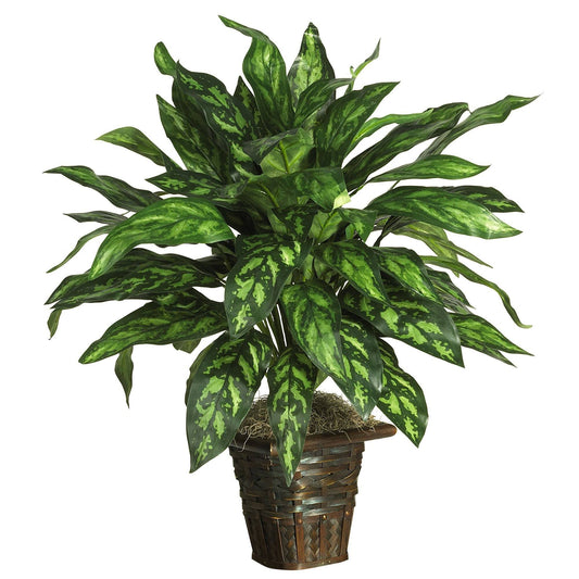 Silver King w/Basket Silk Plant - Tampa Home & Garden Store