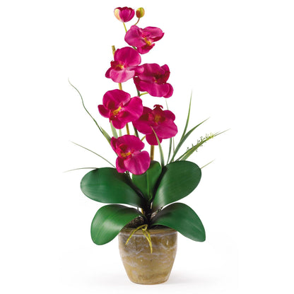 Single Stem Phalaenopsis Silk Orchid Arrangement