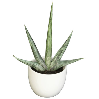 - image on Tampa Home & Garden Store