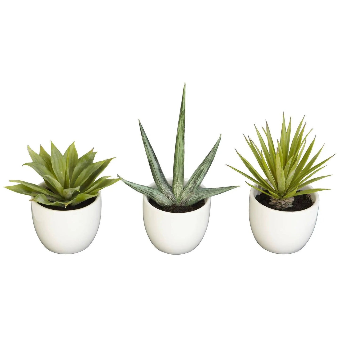 - image on Tampa Home & Garden Store
