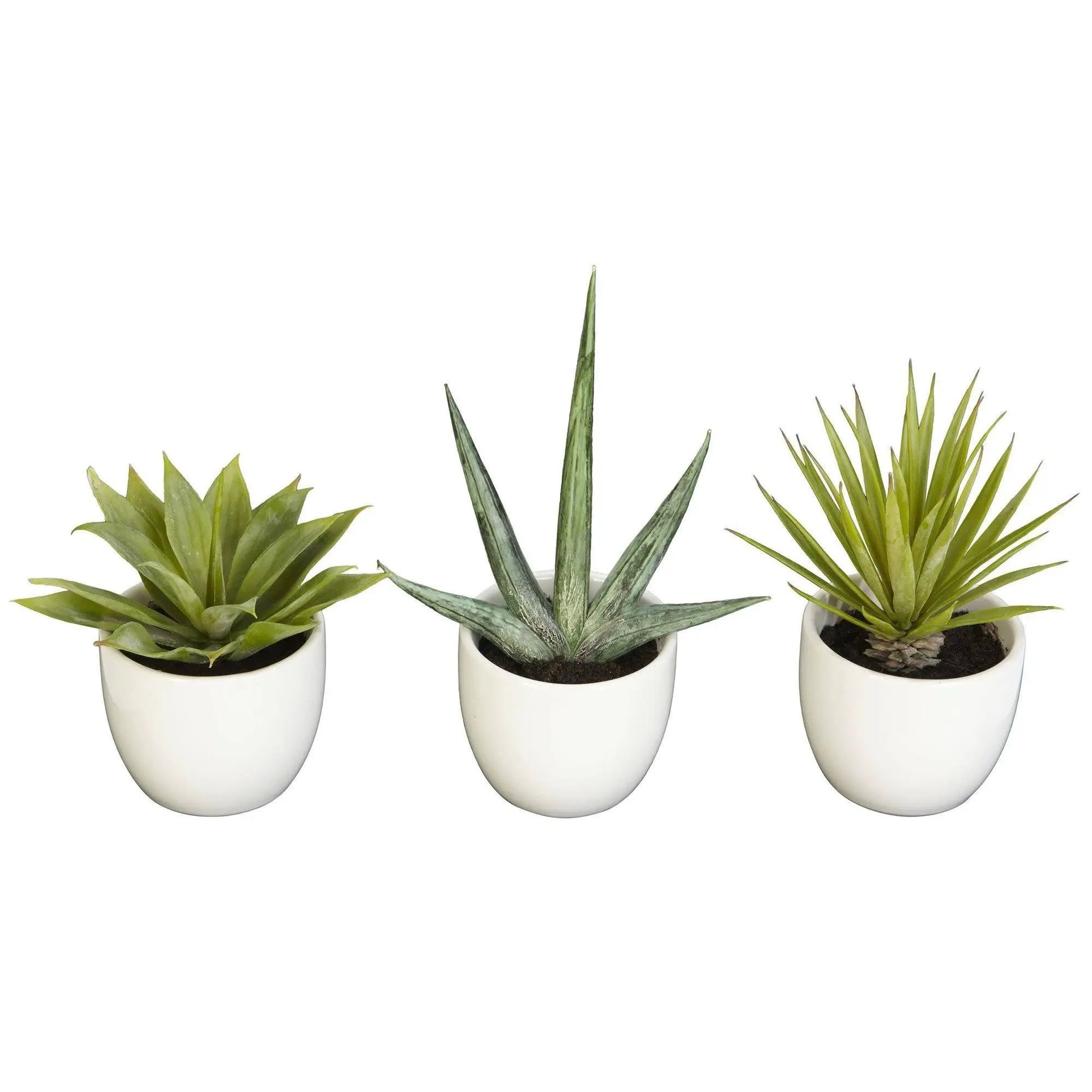 - image on Tampa Home & Garden Store
