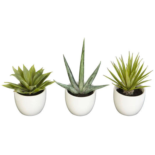 - image on Tampa Home & Garden Store