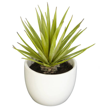 - image on Tampa Home & Garden Store