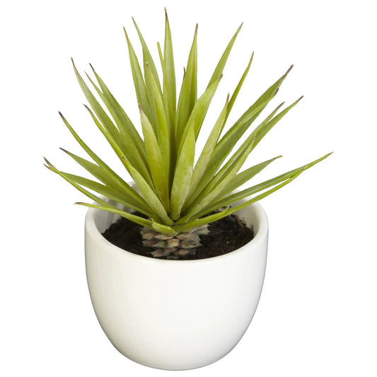 - image on Tampa Home & Garden Store