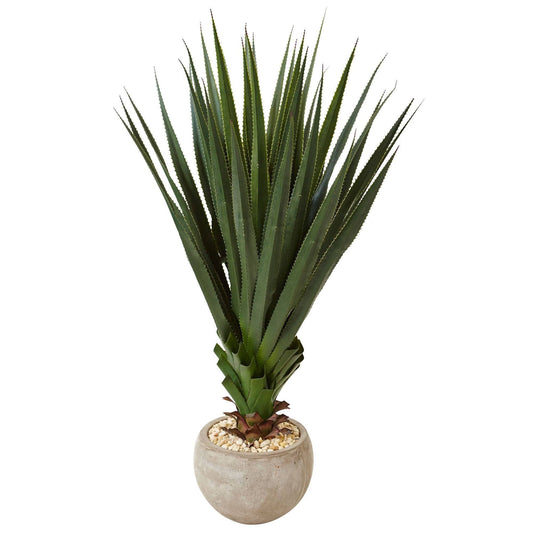 Spiked Agave in Sand Colored Bowl (Indoor/Outdoor) - Tampa Home & Garden Store
