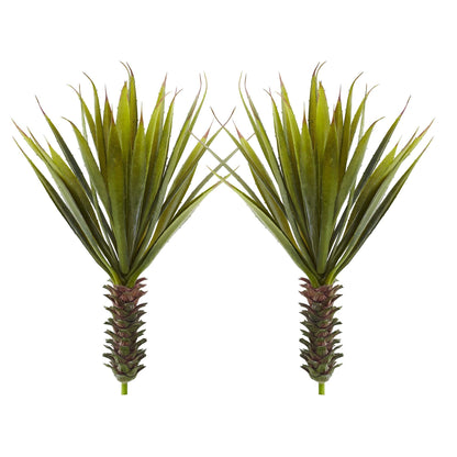 Planta Suculenta de Agave Espinoso (Juego de 2)