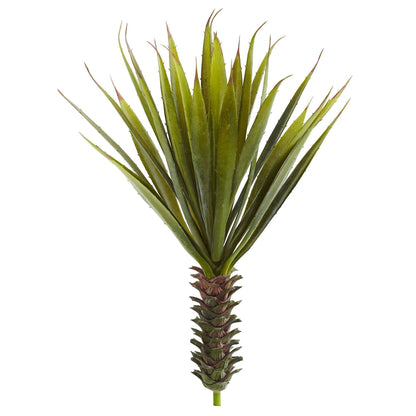 Planta Suculenta de Agave Espinoso (Juego de 2)