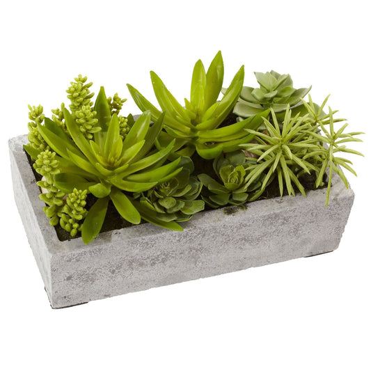Succulent Garden w/Concrete Planter - Tampa Home & Garden Store