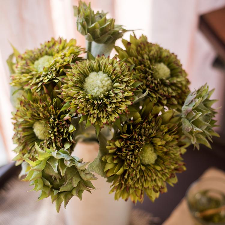 Artificial sunflower bouquet with green-toned, pompom-style blooms, 18in tall on Tampa Home & Garden Store