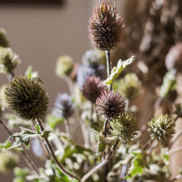 Faux Silk Thistle Stem, 26" tall with brown-green blooms, RusticReach artificial plant on Tampa Home & Garden Store