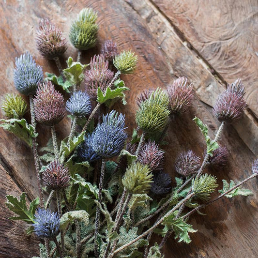 Faux silk thistle stems, 26in tall, RusticReach artificial plants in blue purple green hues on Tampa Home & Garden Store