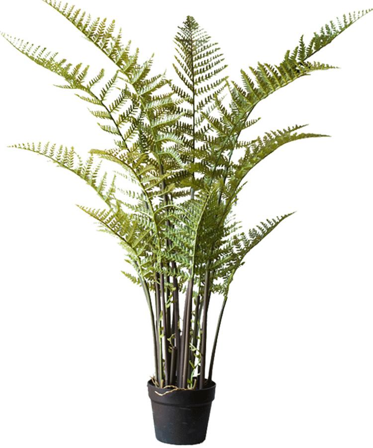 Artificial Cyathea Tree in Pot by RusticReach with lush green fronds on Tampa Home & Garden Store