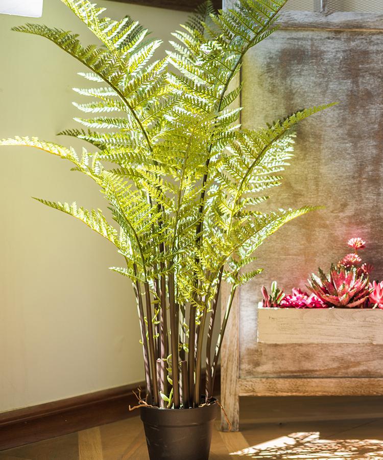 Artificial Faux Cyathea Tree In Pot RusticReach with lush green fronds in black pot on Tampa Home & Garden Store
