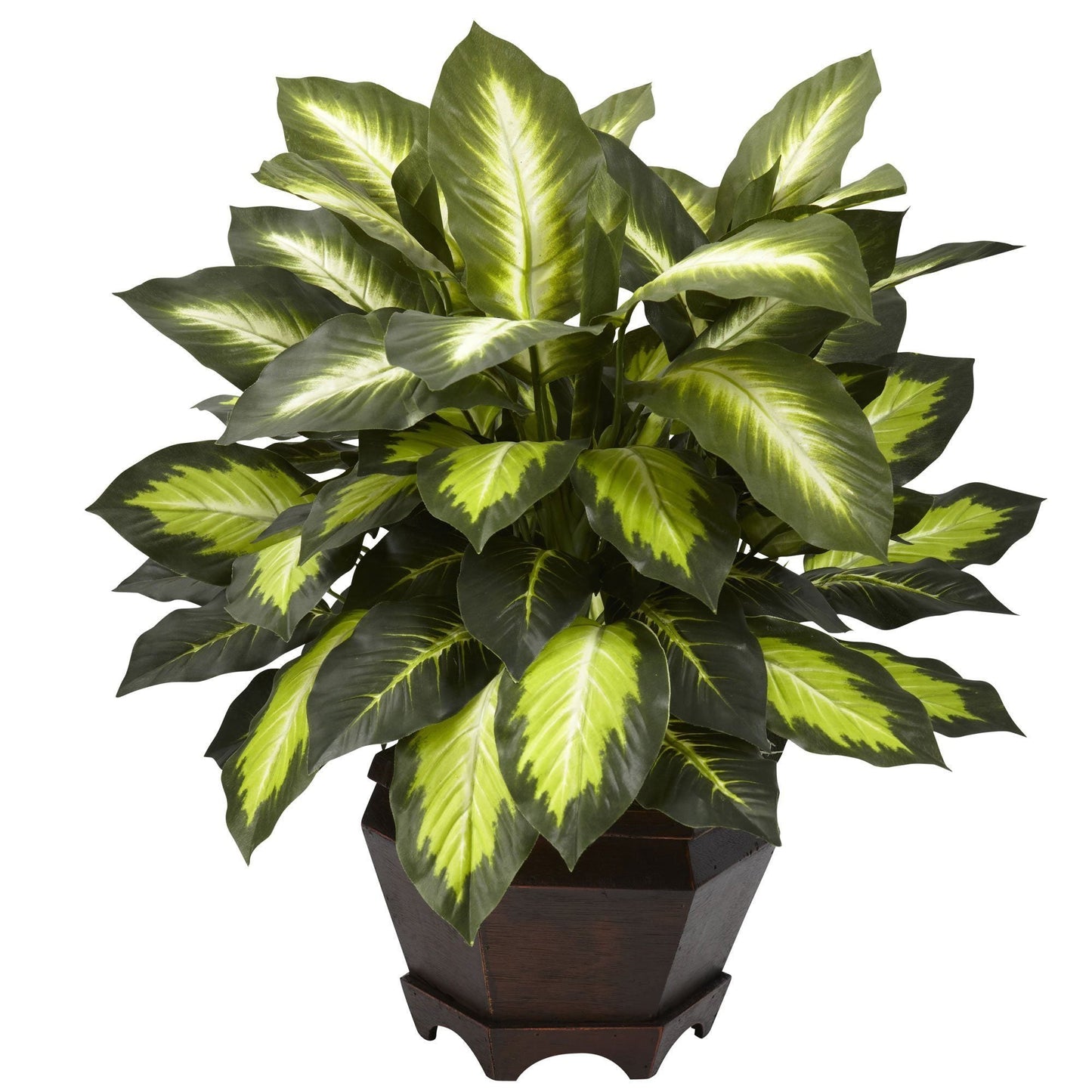 Dieffenbachia Dorada Triple con Jarrón de Madera