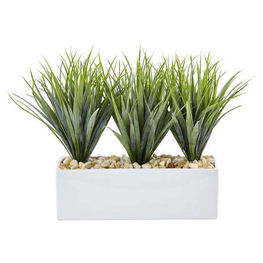 Vanilla Grass in Rectangular Planter - Tampa Home & Garden Store