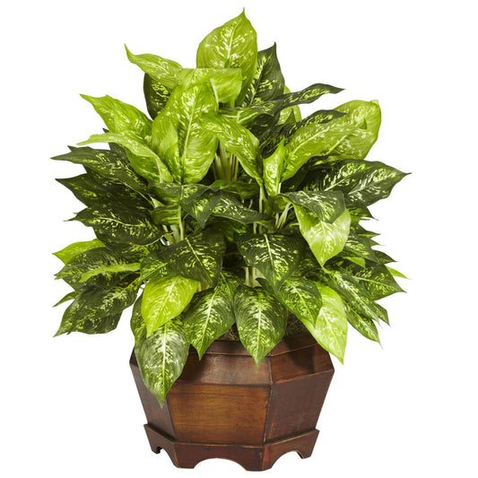 Variegated Dieffenbachia w/Large Hexagon Silk Plant - Tampa Home & Garden Store