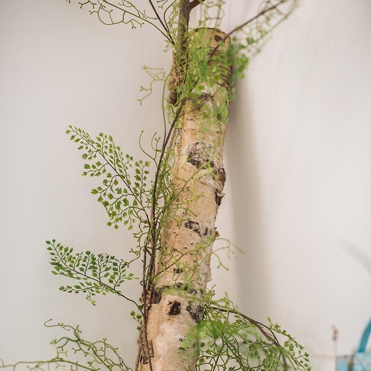 Artificial Maidenhair Fern vines 55in long RusticReach brand wrapped around a birch trunk on Tampa Home & Garden Store