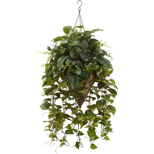 Vining Mixed Greens w/Cone Hanging Basket - Tampa Home & Garden Store