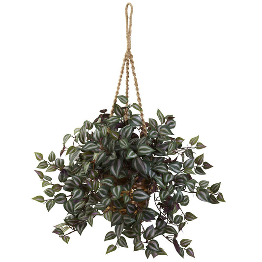 Wandering Jew Hanging Basket - Tampa Home & Garden Store