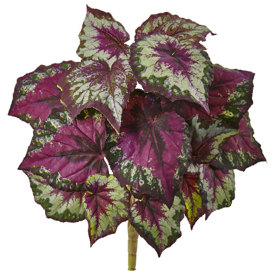Wax Begonia Bush (Set of 6) - Tampa Home & Garden Store