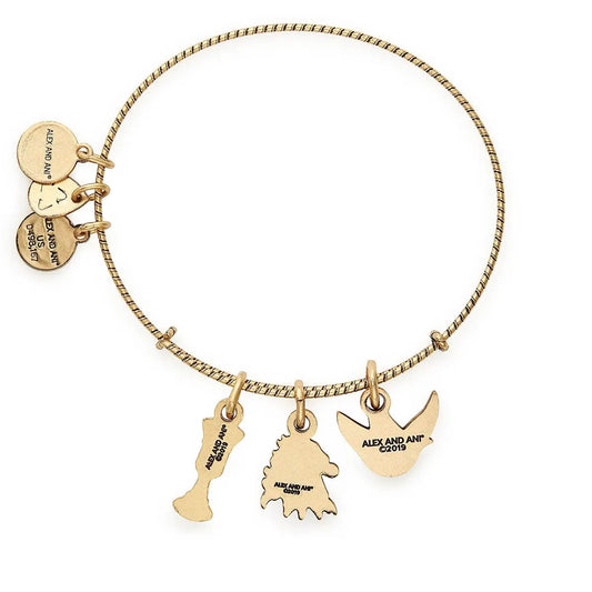Gold-tone Game of Thrones House Lannister charm bracelet by ALEX AND ANI with five charms on Tampa Home & Garden Store