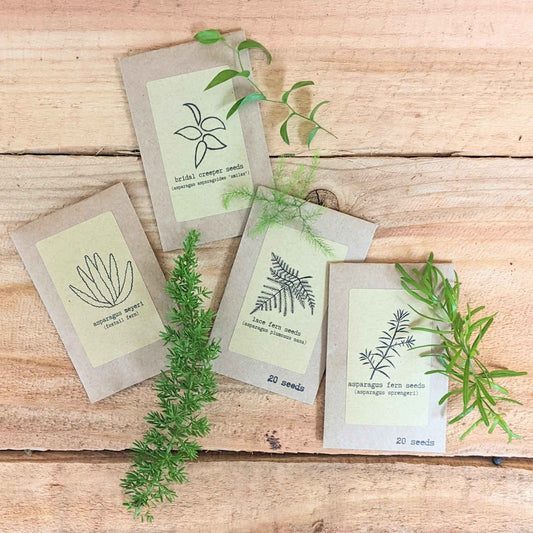 "Asparagus Fern" Houseplant Seed Collection