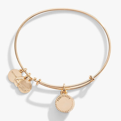 Bracelet: August Birthstone Bangle, Peridot in rose gold with discs by ALEX AND ANI on Tampa Home & Garden Store